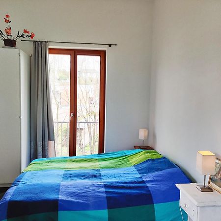 Petit Nid En Alsace Studio Independant Avec Salle De Douche Privative Buschwiller Eksteriør bilde