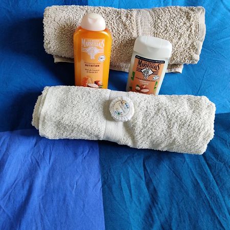 Petit Nid En Alsace Studio Independant Avec Salle De Douche Privative Buschwiller Eksteriør bilde