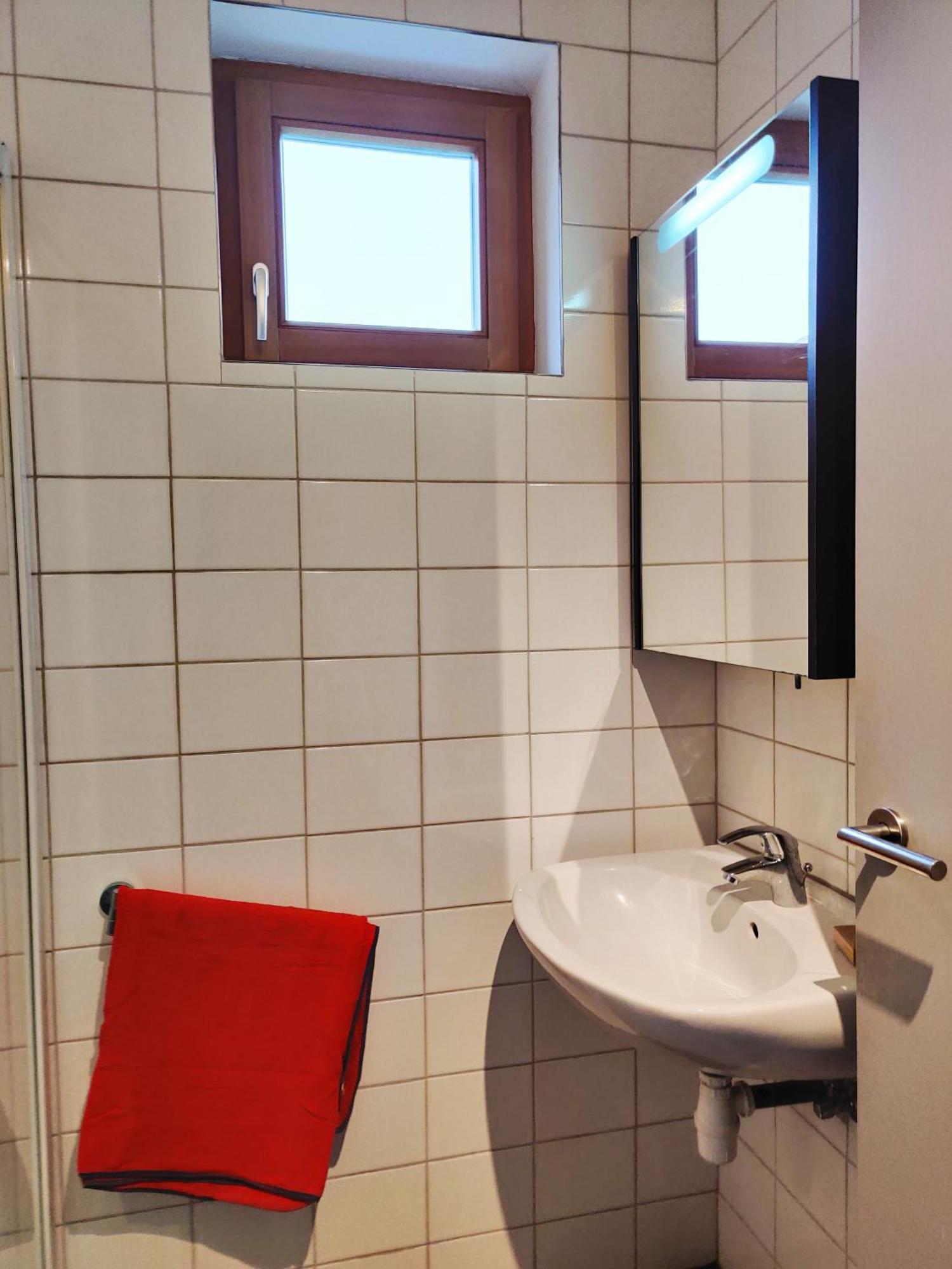 Petit Nid En Alsace Studio Independant Avec Salle De Douche Privative Buschwiller Eksteriør bilde